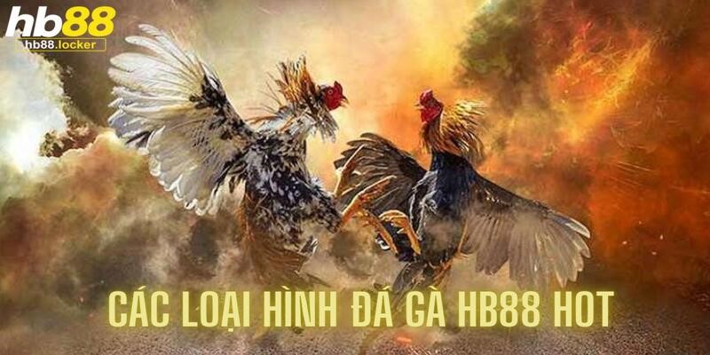 Đá gà HB88: Web chơi đá gà trực tuyến siêu hot 2025 4 Đá gà HB88 có rất nhiều hình thức cho người chơi lựa chọn